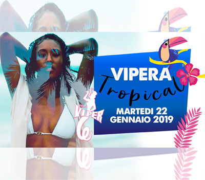VIPERA - TROPICAL - Boccaccio Club