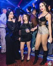 VIBE - MELONS - 13/12/2025