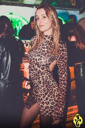 VIPERA - 14/12/2024