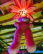 CARAGATTA - BESO - 16/01/2026