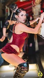 VIPERA - CULT TUESDAY - 16/12/2025