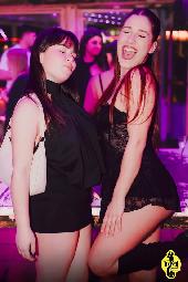 VIPERA - CULT TUESDAY - 17/03/2026