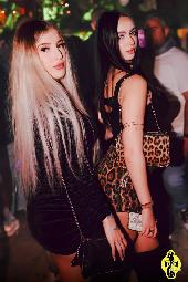 VIPERA - CULT TUESDAY - 18/11/2025