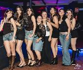 VIBE - FOLIE NOIRE - 22/05/2026