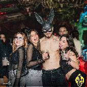 VIPERA - 22/11/2024