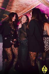 VIPERA - CULT TUESDAY - 23/12/2025