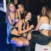 VIBE - DIPINTO - 24/10/2026
