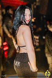 VIPERA - 24/12/2024