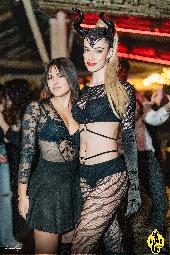 VIPERA - 29/11/2024